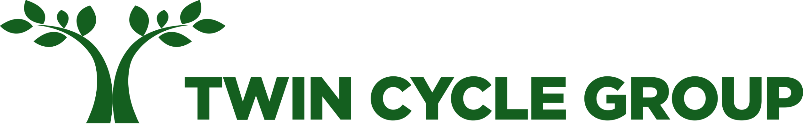 Twin Cycle Group